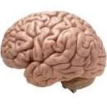 https://www.facebook.com/Neuro-Smart-IQ-106628158508763