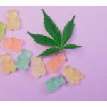Buy @ https://promosimple.com/giveaways/marijuana-cbd-gummies/